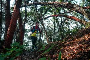 BIB: 
                            <button type="button" onclick="openModal(26344272)" class="btn btn-primary btn-sm float-right btn-popup" data-toggle="modal" data-target=".modal-high-quality">
                        <i class="fas fa-shopping-cart"></i> Add to Cart
                    </button>
                                            <button type="button" onclick="isThisMe(26344272, true)" class="btn btn-success btn-sm float-right btn-popup btn-isme hidden" data-toggle="tooltip" data-placement="bottom" title="นี่คือรูปของคุณใช่ไหม คลิกที่นี่เพื่อเอาเข้าอัลบั้ม">
                        <i class="fas fa-plus"></i> Add to album
                    </button>
                    <button type="button" onclick="isThisMe(26344272, false)" class="btn btn-warning btn-sm float-right btn-popup btn-isnotme hidden">
                        <i class="fas fa-ban"></i> Remove from album
                    </button>